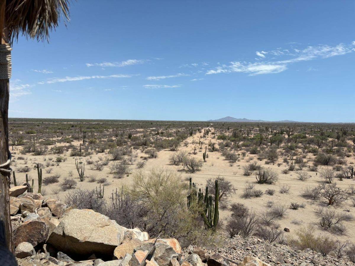 32-hectare land holding near Bahía de Kino, Sonora — desert with cardón cactus and mountain views